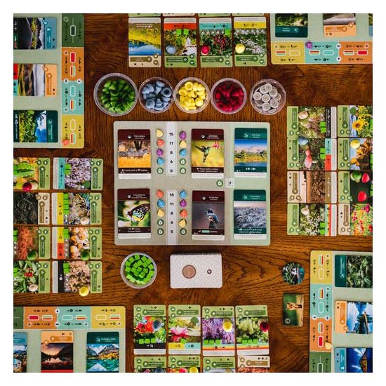 Inside Up Games Earth ecosystem scene featuring self-sustaining growth.