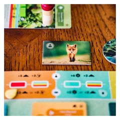 Inside Up Games Earth gameboard with lush visuals and components.