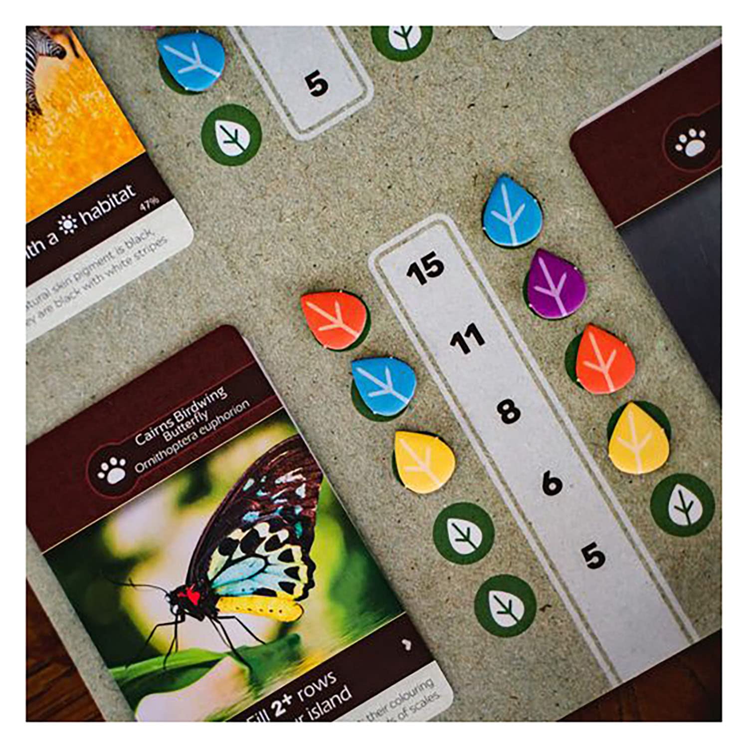 Inside Up Games Earth tile-placement illustrating landscape expansion and bonuses.