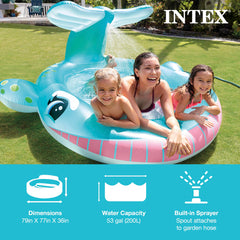 Intex 57440EP whale tail sprayer adds splashy play in the yard.