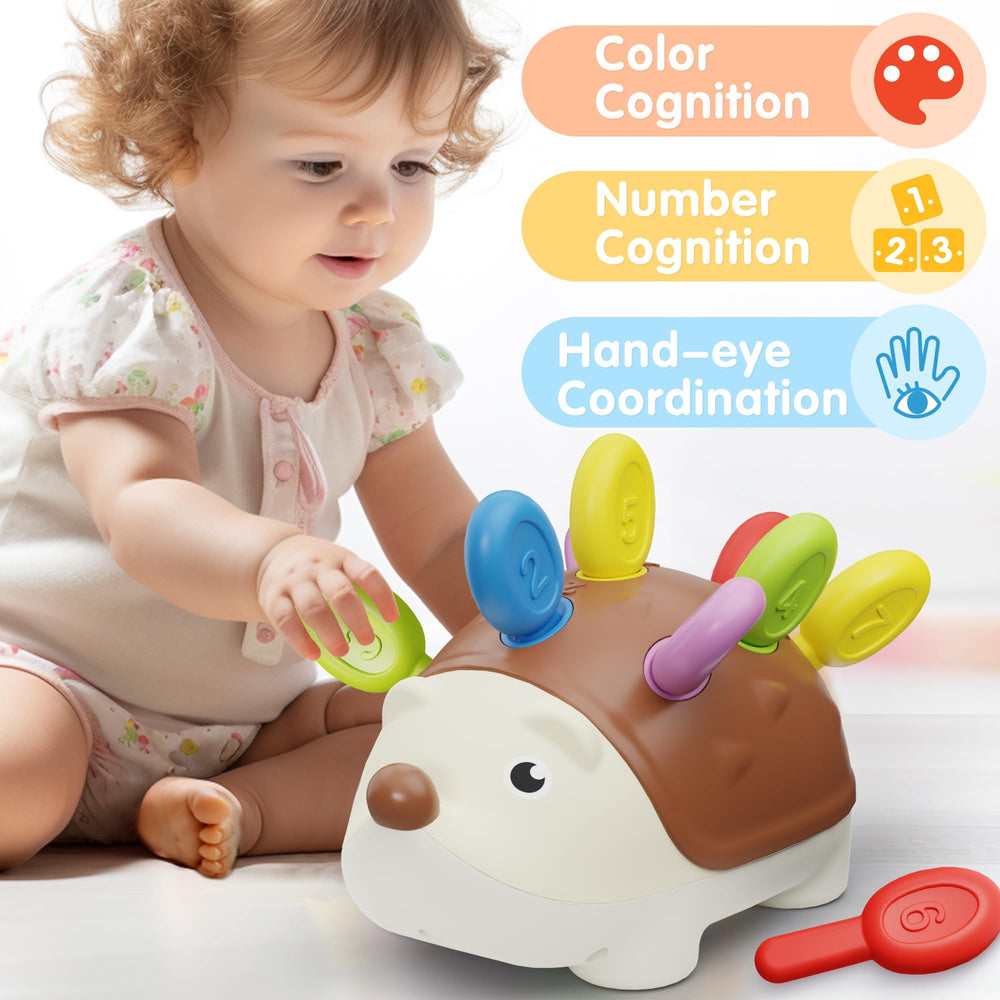 IPlay iLearn hedgehog belly storage keeps pieces organized