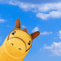 iPlay iLearn Bouncy Pals hopping horse ready for indoor or outdoor play