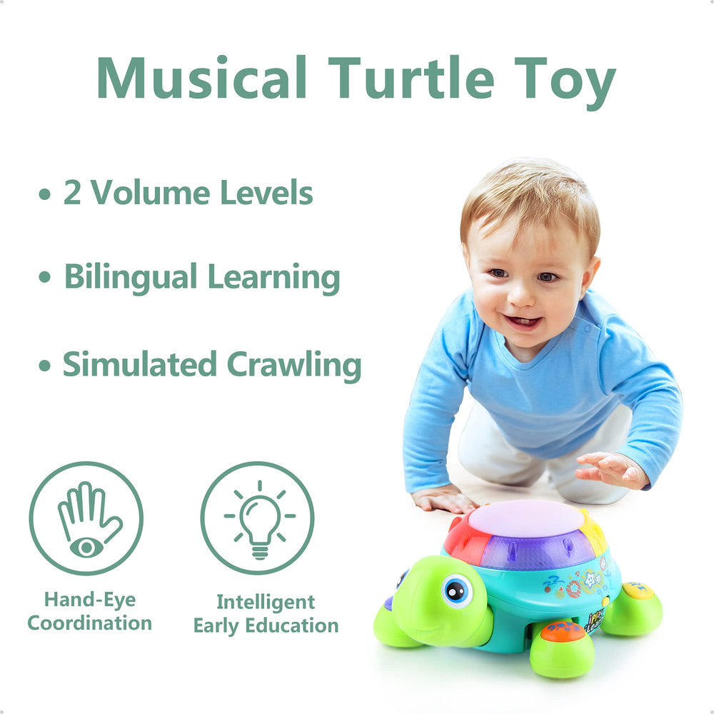 iPlay iLearn musical turtle ABC and numbers buttons for learning through play
