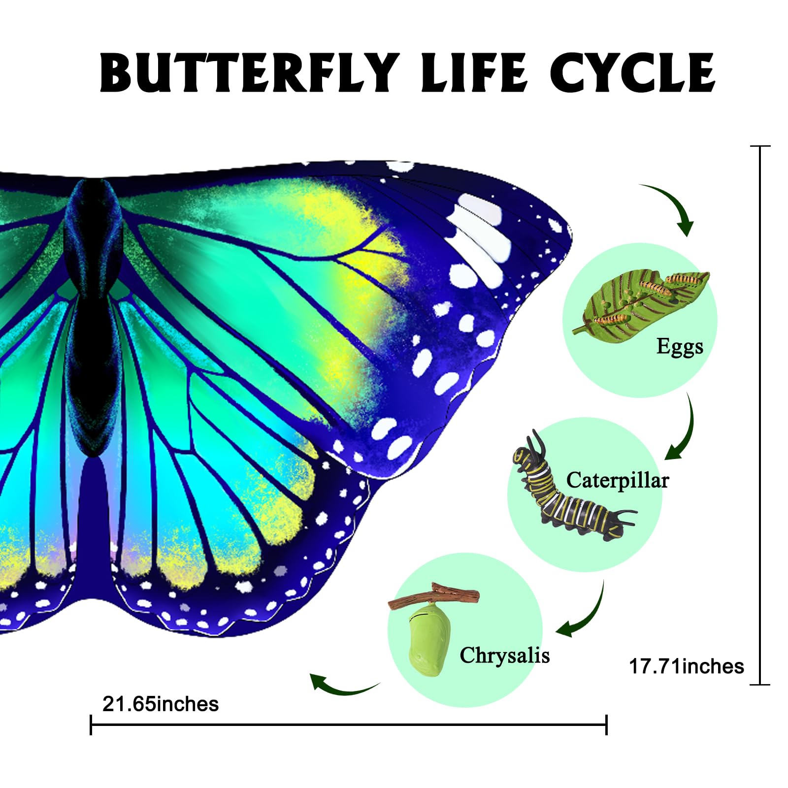irolewin butterfly wings for parties and celebrations, easy to store.