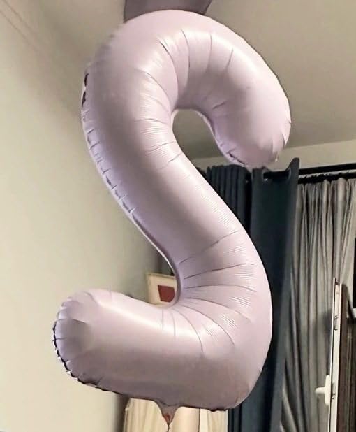 IWERP Lilac balloon setup for memorable party moments and photos.
