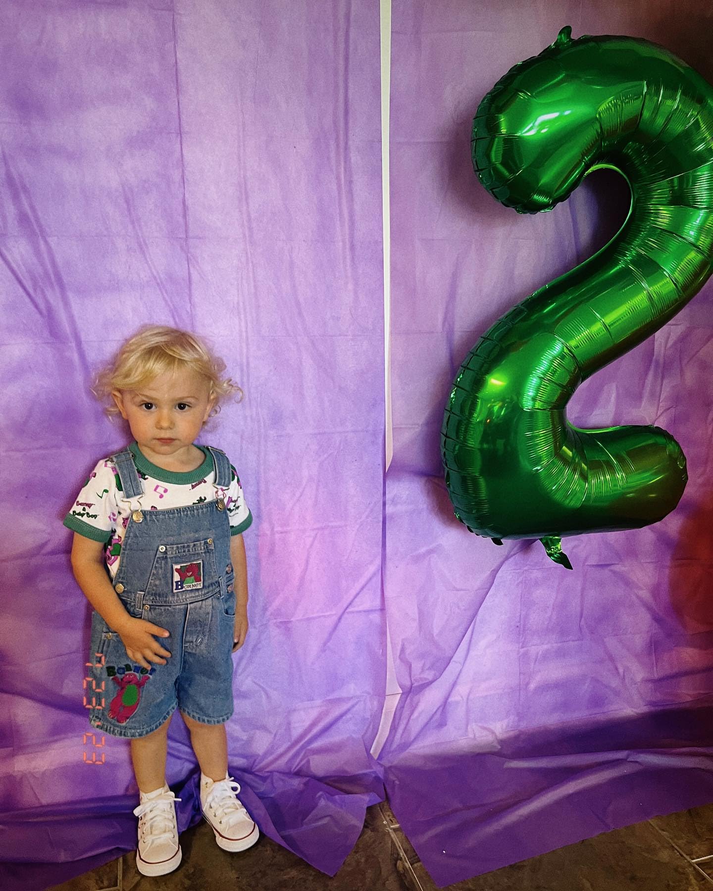 IWERP Perfect photo backdrop for green-themed parties and moments.