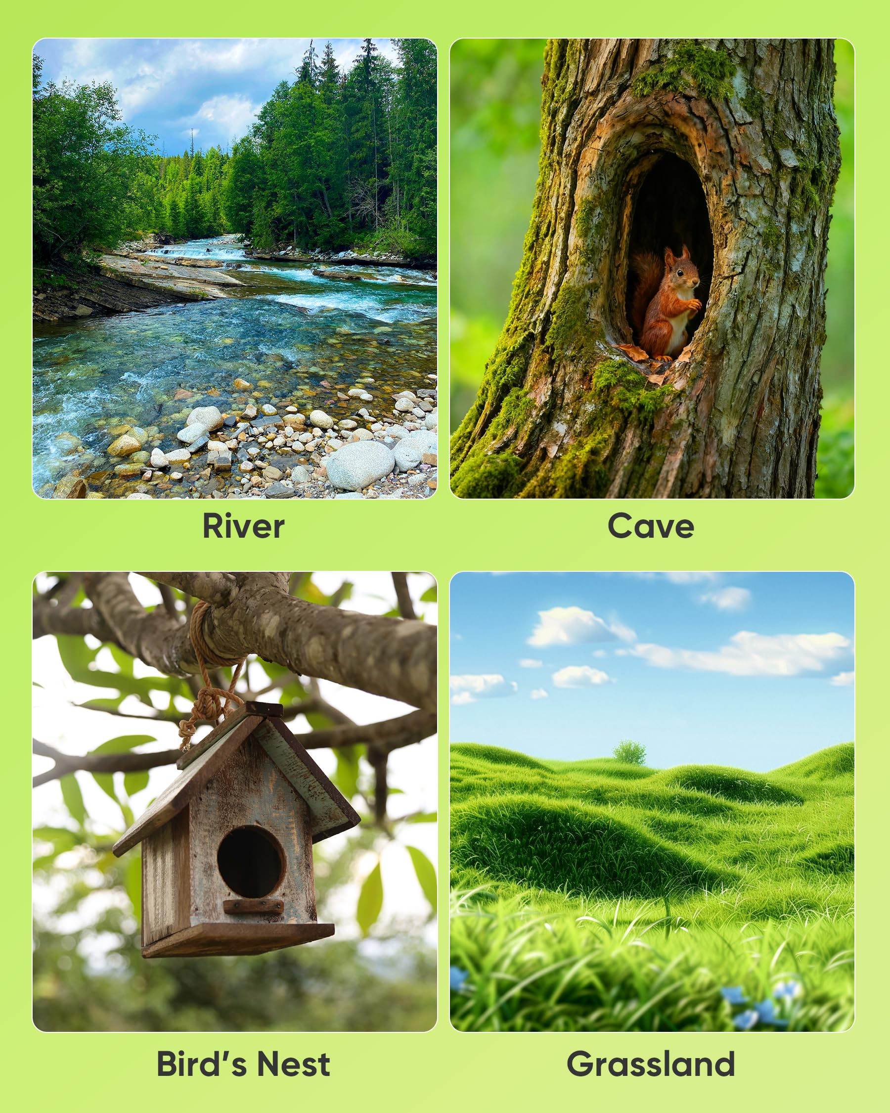 A thoughtful birthday or holiday gift that sparks curiosity about nature and technology