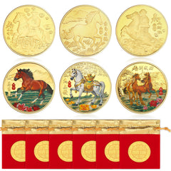 JANYUN 6-pcs lucky Chinese coins set for Lunar New Year blessings and gifting