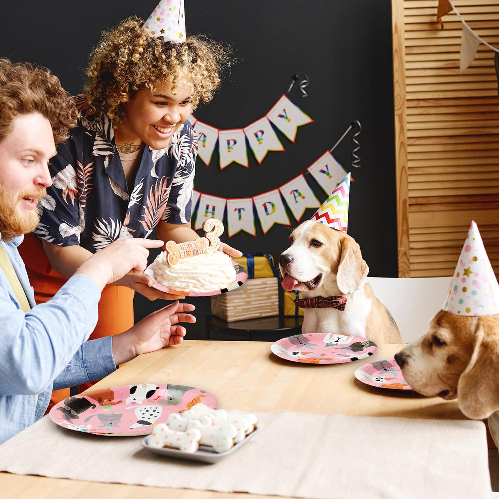 JarThenaAMCS dog party setup ready for playful celebrations