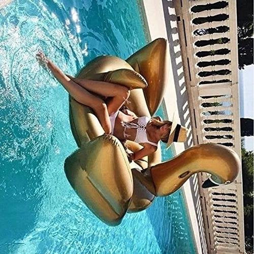 Jasonwell Swan floats gracefully on water during lake or pool days.