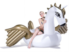 Jasonwell Pegasus pool float fully inflated for a stable, roomy experience