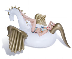 Jasonwell Pegasus float can be inflated with a hairdryer or air pump