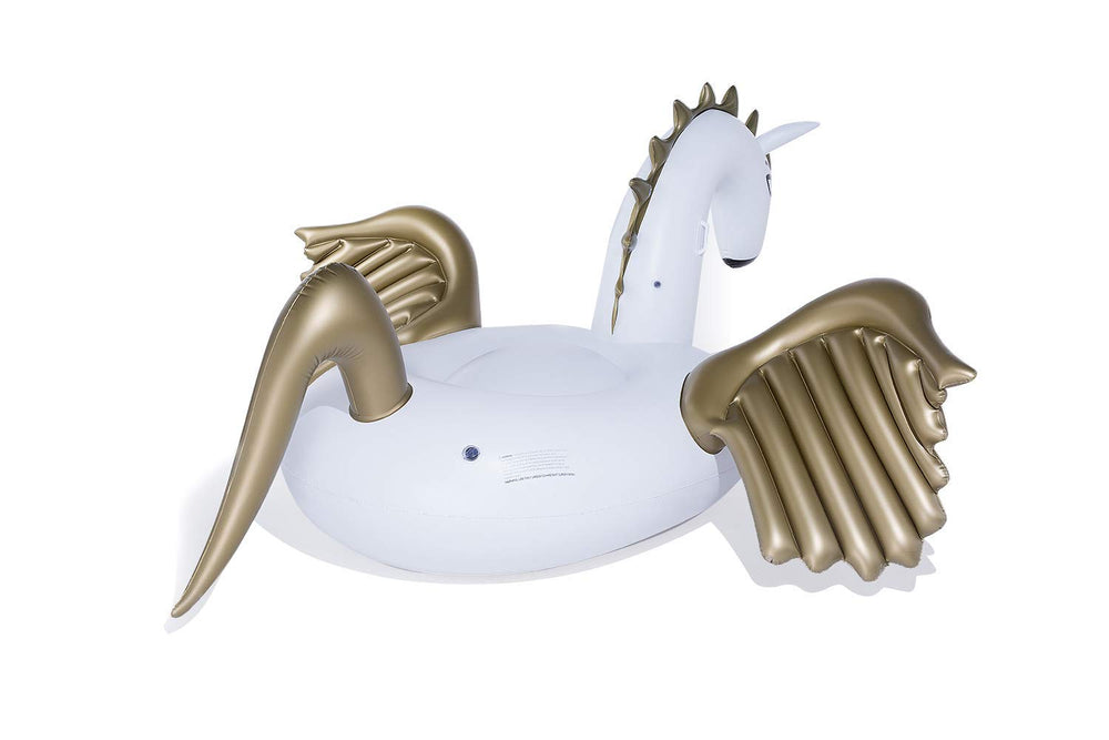 Jasonwell Pegasus raft deflated and packed for travel or storage