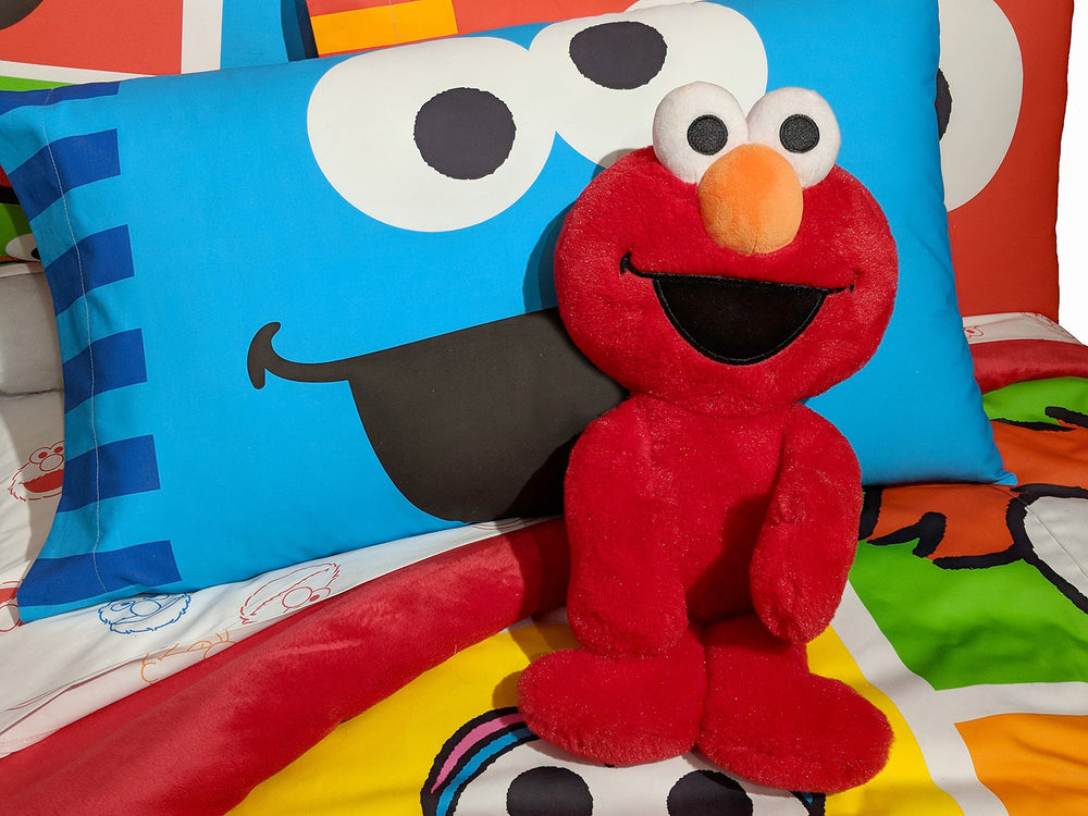 Sesame Street collection by Jay Franco with coordinating accessories.
