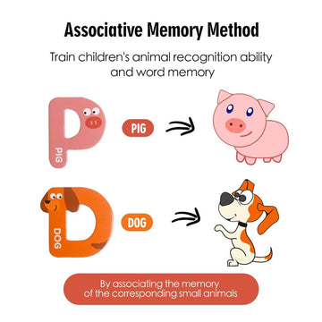 JCREN Bright color animal magnets—engage visual recognition during playtime.