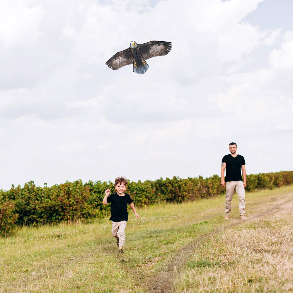 JEKOSEN family-friendly kite for beach and park fun