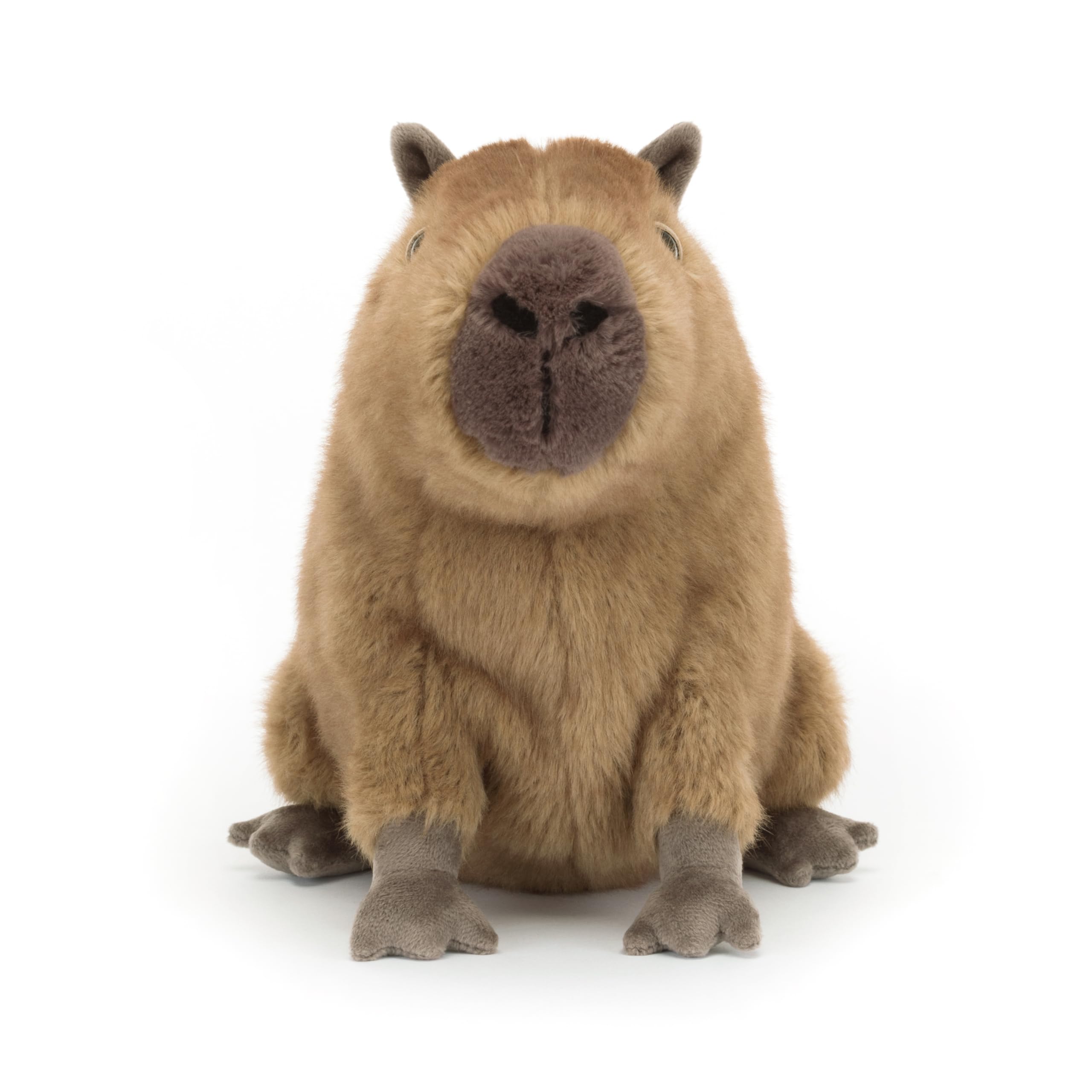 Jellycat Clyde Capybara toy dimensions demonstrate a perfect tabletop display or play friend.