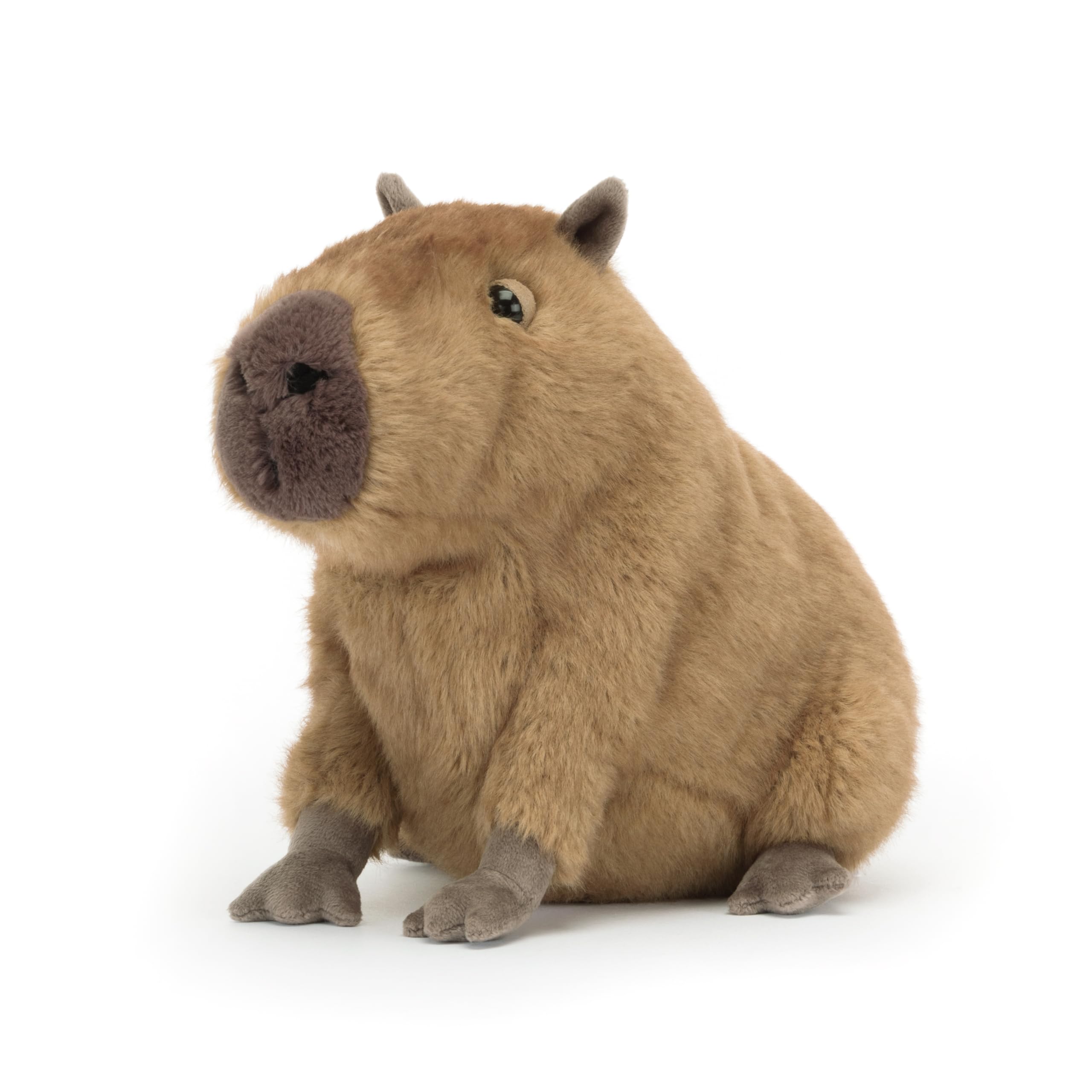 Jellycat Clyde Capybara toy gift-ready design suits birthdays and special occasions.