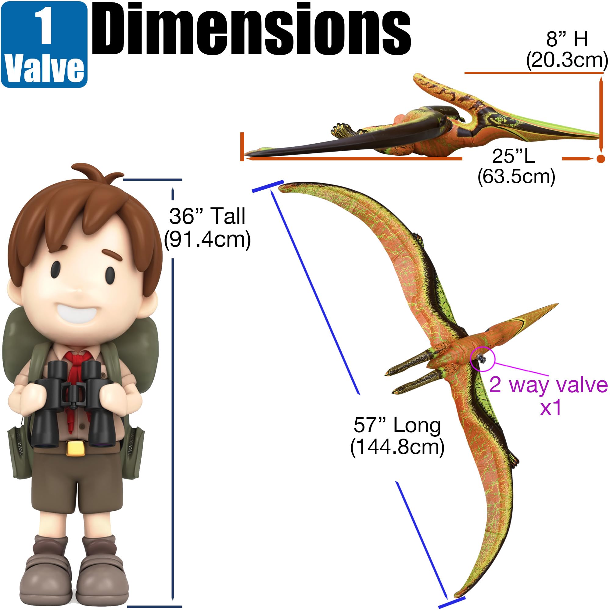 In-box image showing included inflatable Pteranodon and setup cues