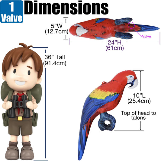 Jet Creations Scarlet Macaw Parrot feathers highlight intricate detailing for lifelike display