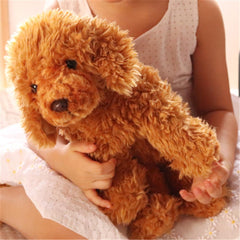 JIANEEXSQ Labradoodle plush gift-ready packaging, perfect for celebrations