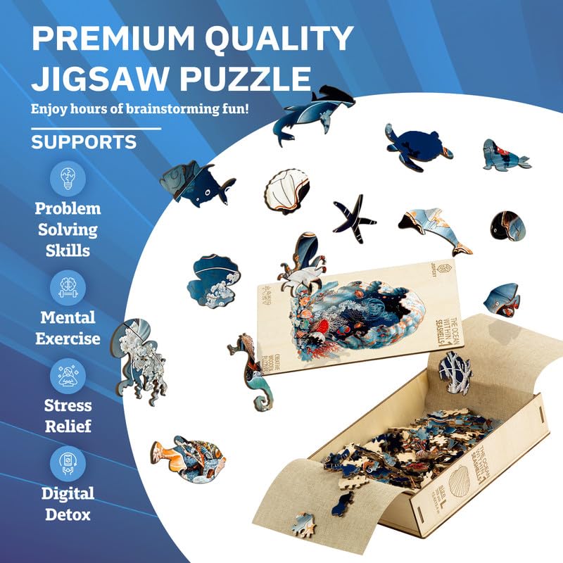 Jigfoxy seashell puzzle assembled display becomes decorative room art.