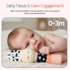 Joey Monty Tummy Time Play encourages gentle movement with sensory stimulation