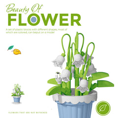 Jollcnoia Lily of the Valley flower blocks arranged as a serene display.