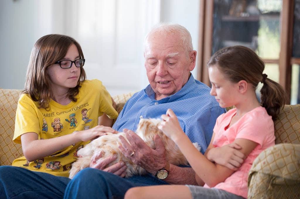 JOY FOR ALL Companion Cat calming presence supports mood and focus during routines.