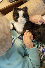 Joy For All Companion Cat tuxedo caregiver scene easy companionship for loved ones.