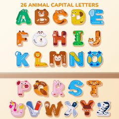 JoyCat alphabet magnet B with bear illustration for early learning
