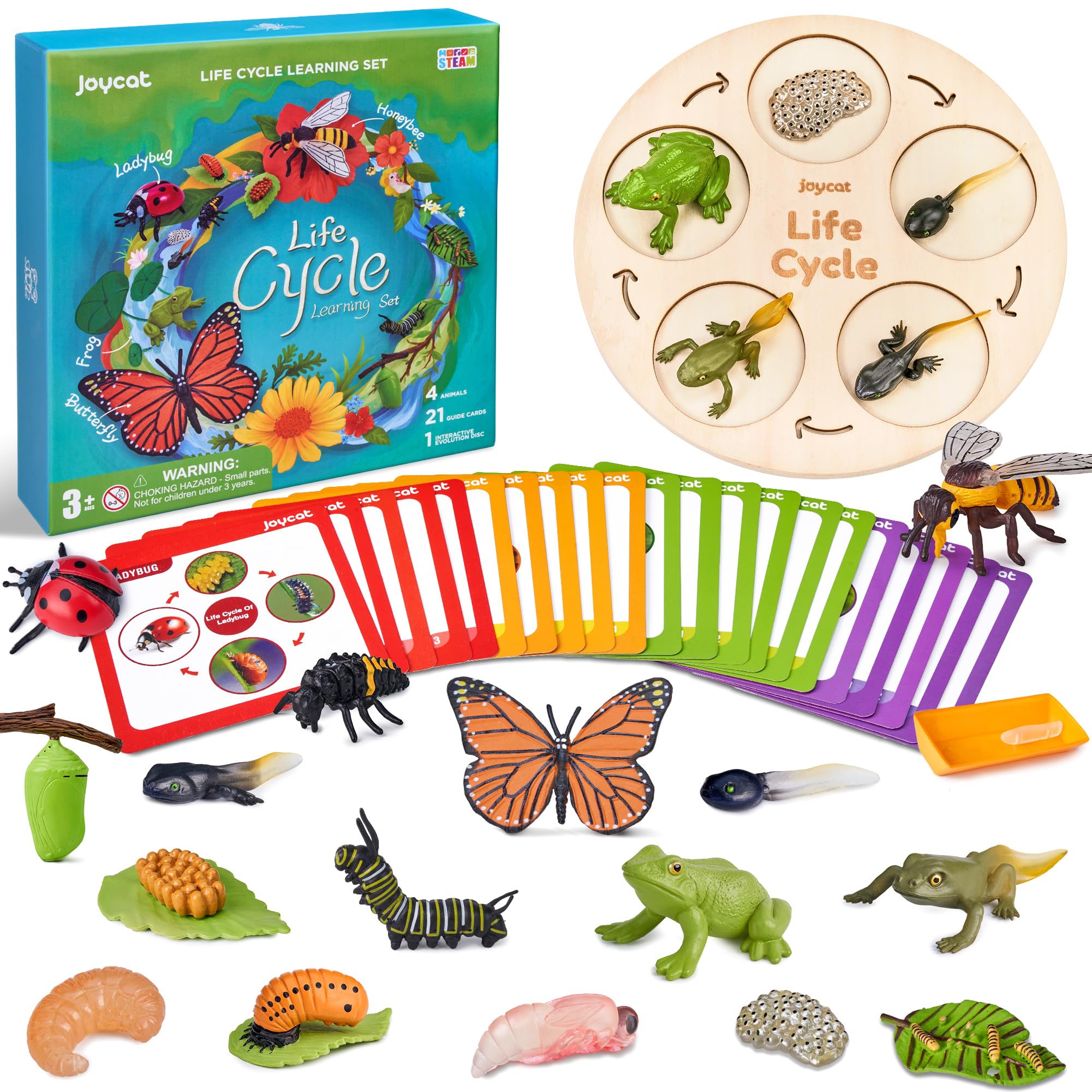 JoyCat butterfly life cycle figures for hands-on learning and imaginative exploration.