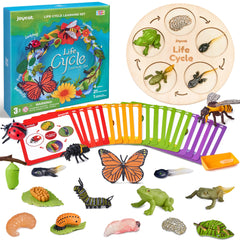 JoyCat butterfly life cycle figures for hands-on learning and imaginative exploration.
