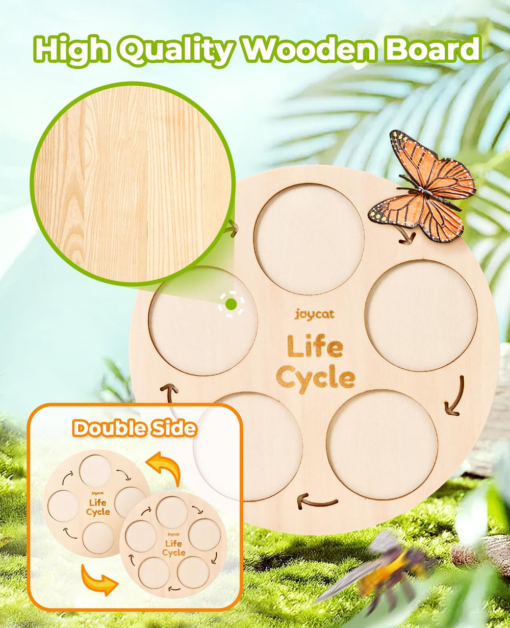 JoyCat ladybug life cycle figures support exploration with vivid colors and details.