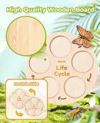 JoyCat ladybug life cycle figures support exploration with vivid colors and details.