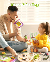 JoyCat wooden life cycle board offers a sturdy visual guide for caregivers.