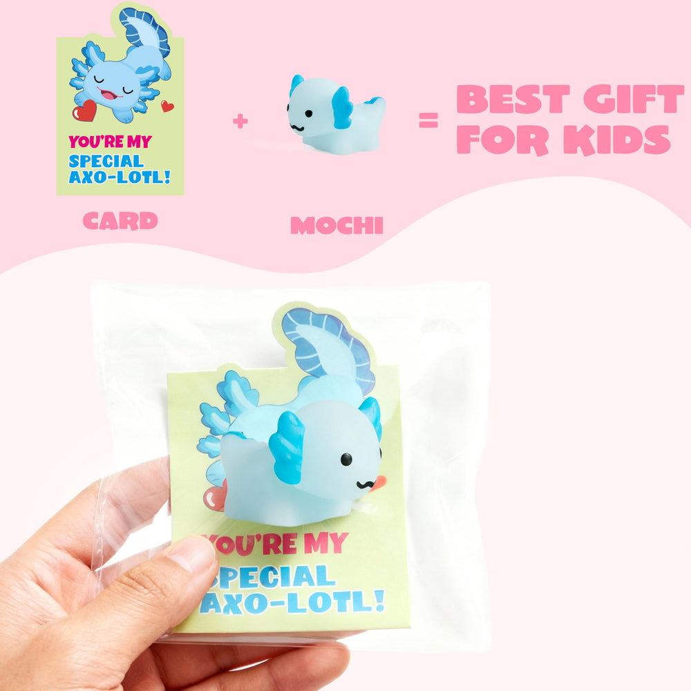 JOYIN gift bags complement the mochi set for easy gifting