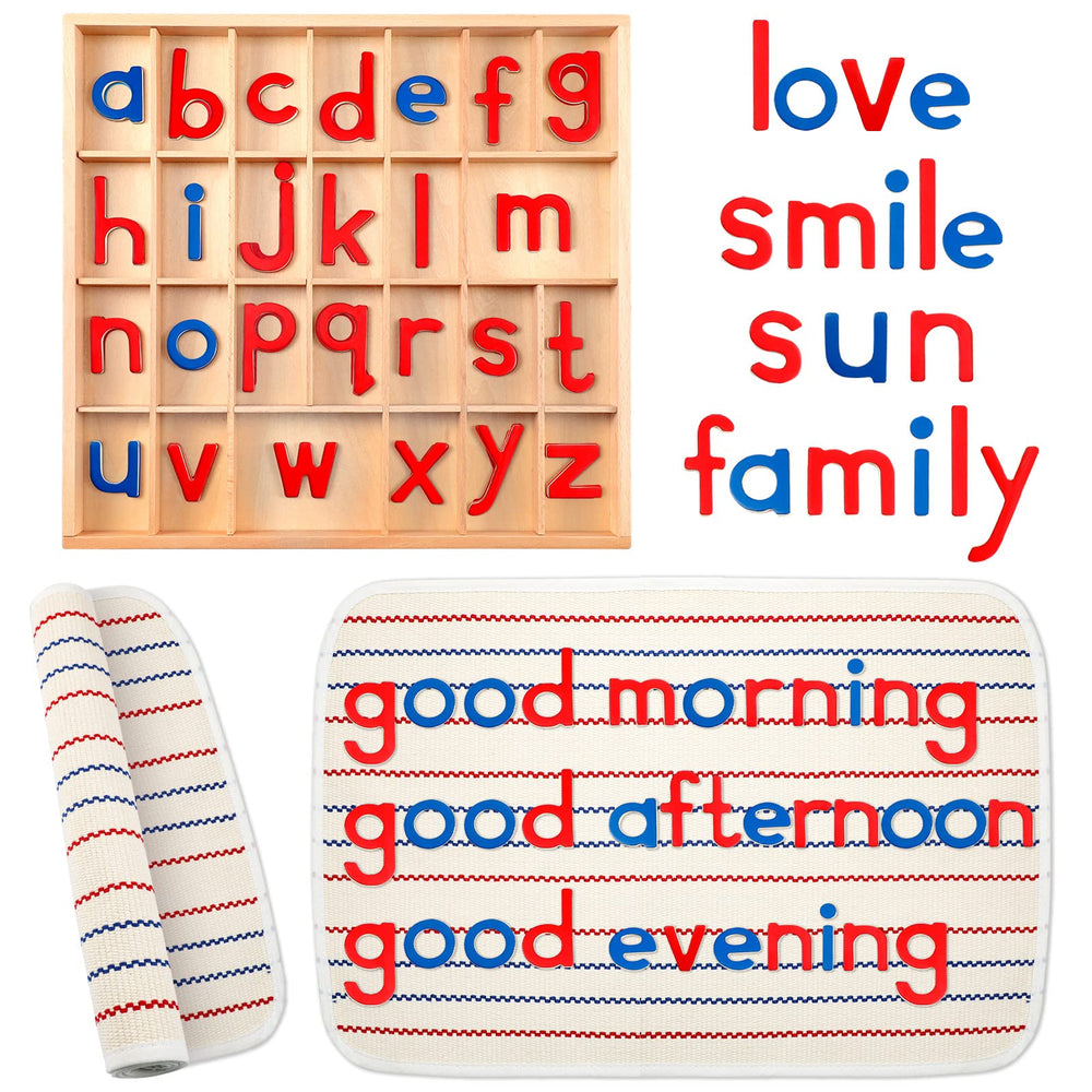 Juexica Montessori letters box with compartments for easy organization and sorting