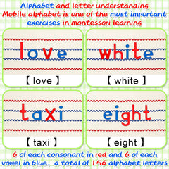 Wooden alphabet letters in red consonants and blue vowels for pattern learning