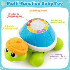 Jumlys musical turtle baby following behind mother during coordinated crawling.