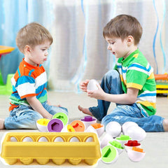 JUNBESTN education through play with eggs promoting counting and sorting