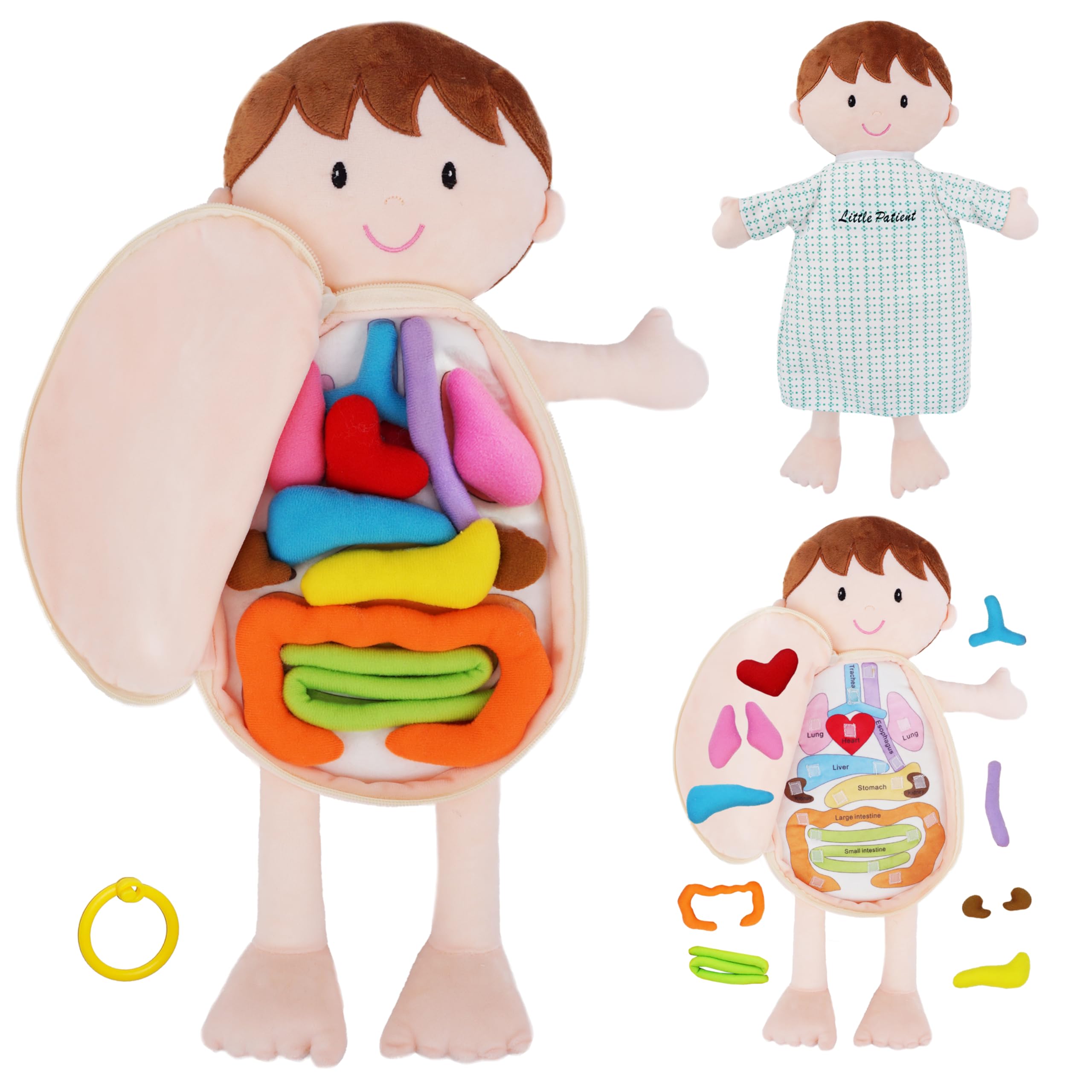 June Garden Little Patient Lucas heart — interactive anatomy learning for toddlers.
