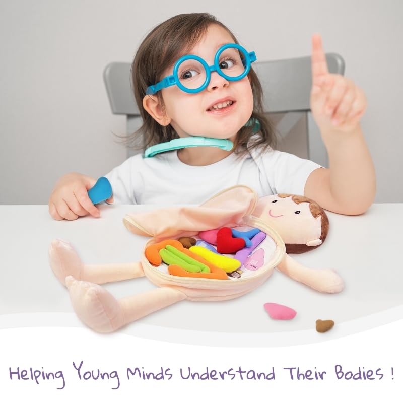 June Garden Little Patient Lucas lungs — color-coded organs boost hands-on exploration.