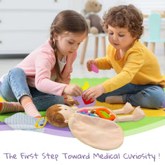 June Garden Little Patient Lucas stomach — removable organs encourage fine motor play.