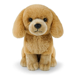 JUSTQUNSEEN Golden Retriever plush suitable for nap-time and comfort