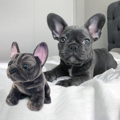 JUSTQUNSEEN pet-grade faux fur feels soft and safe for gentle hugs.