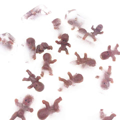 JUXINGDAZYF set of 60 mini babies for versatile party projects.