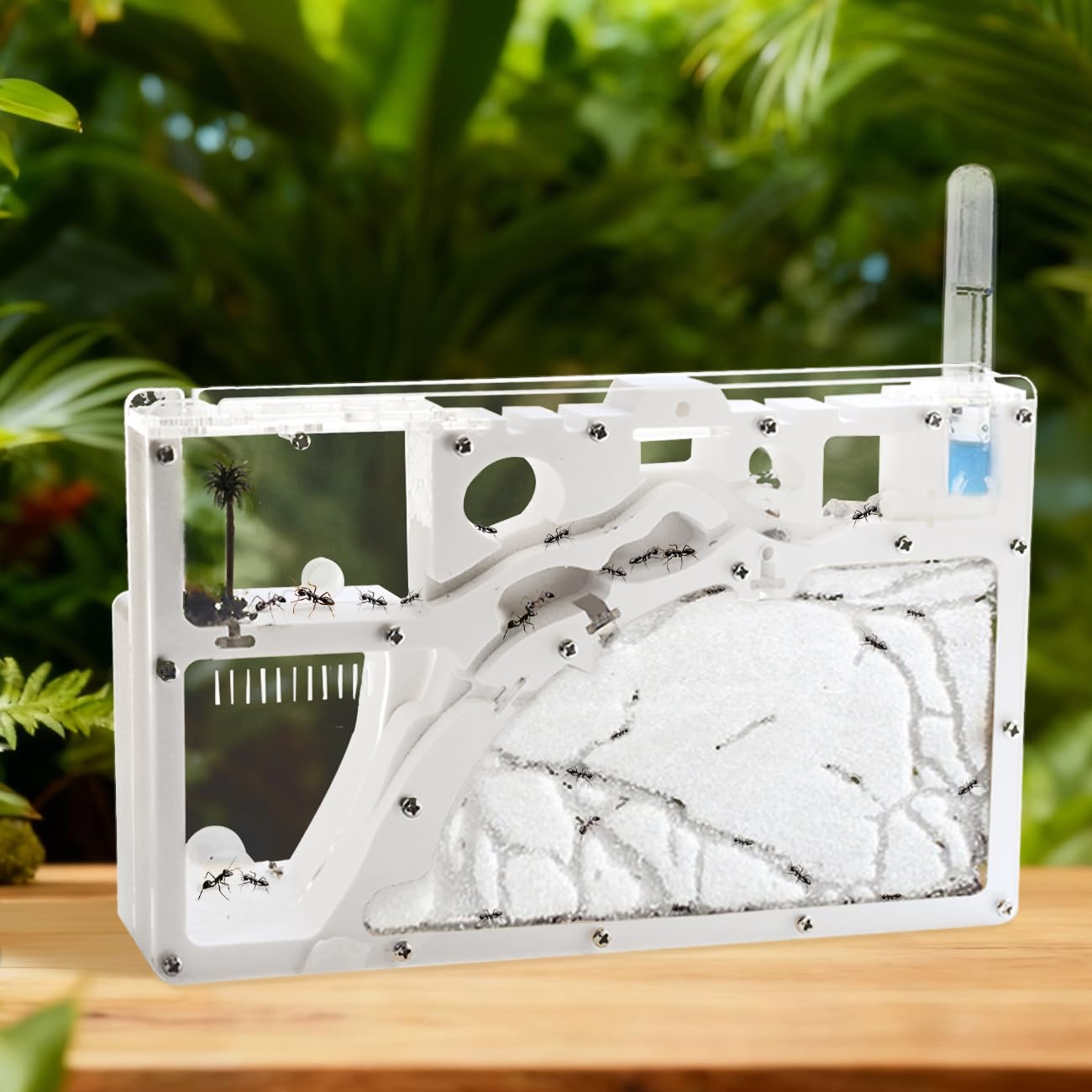 Kahopy Ant Farm Castle interior view reveals live ant tunnels for hands-on learning.