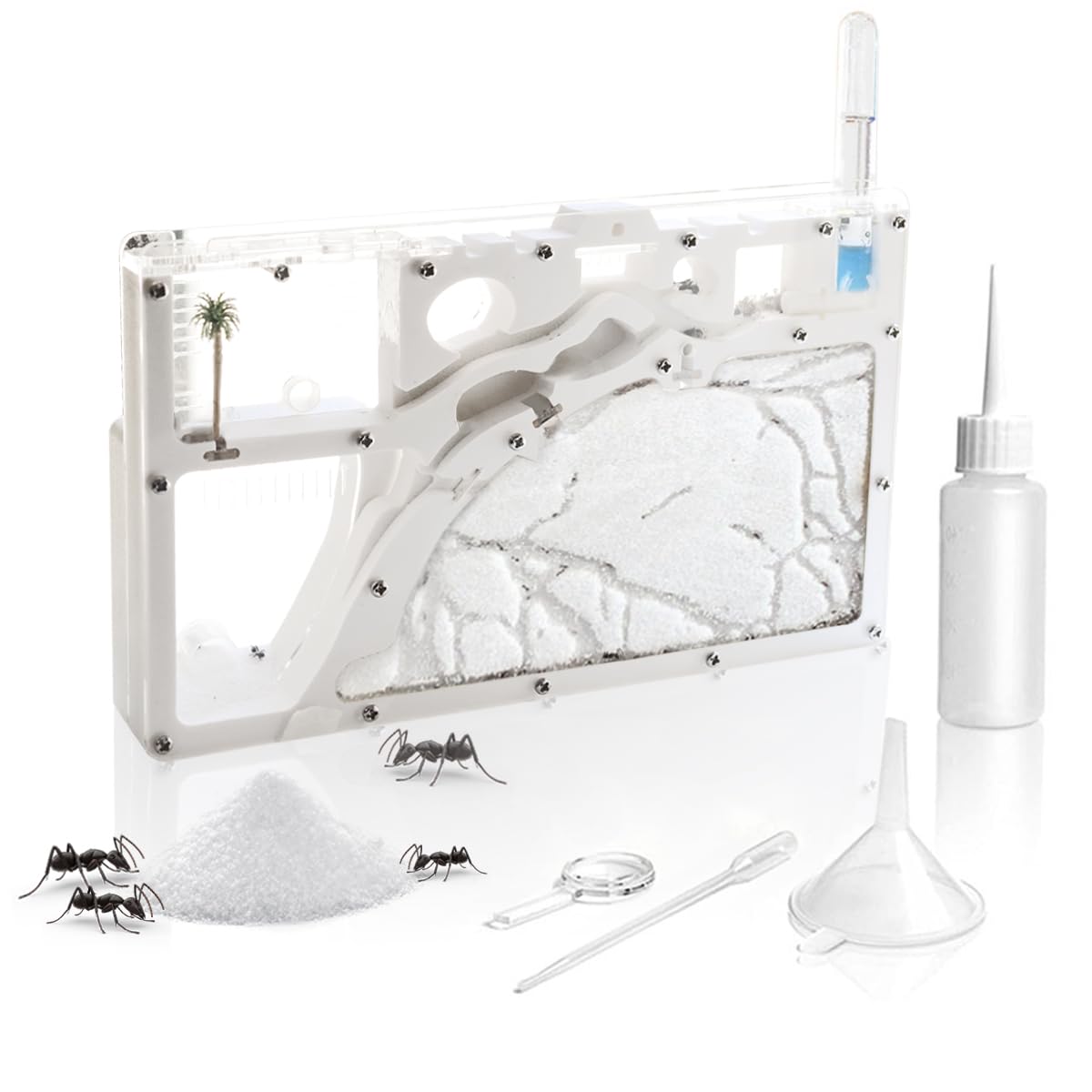 Kahopy decorative tree and flag brighten display while supporting science play.