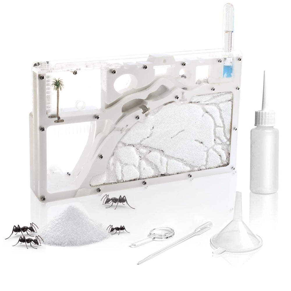 Kahopy decorative tree and flag brighten display while supporting science play.